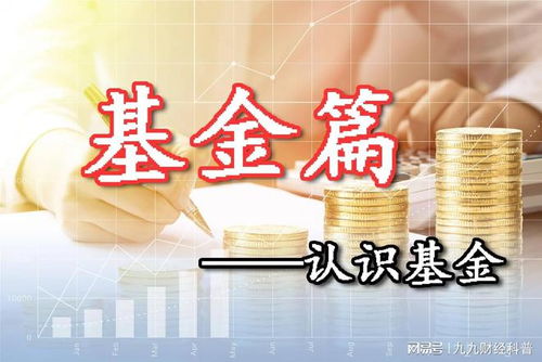 最全基金知识梳理,别再无脑买基金了